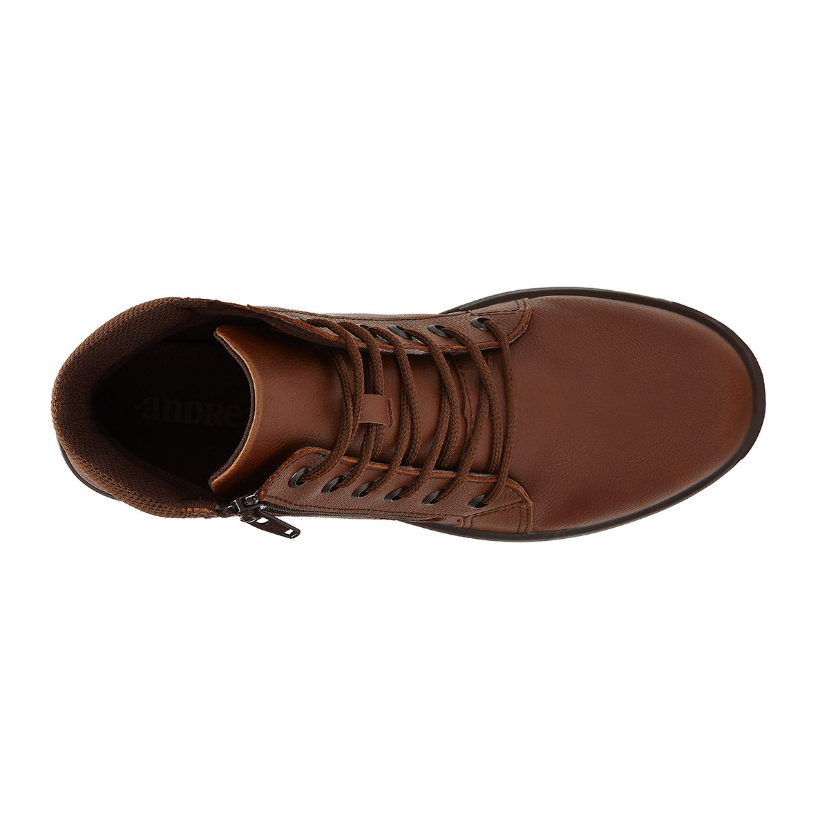 Andrea Shoes