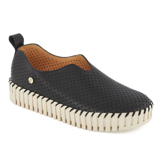 Andrea Shoes