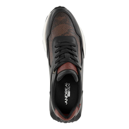 Andrea Shoes